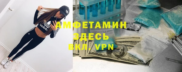 прущие грибы Заводоуковск