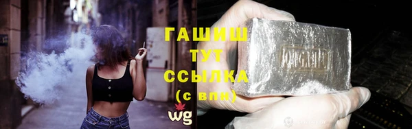прущие грибы Заводоуковск