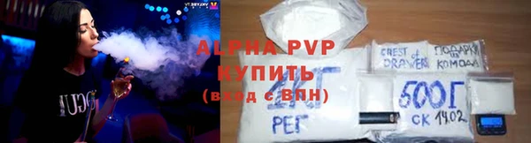 прущие грибы Заводоуковск