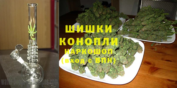 прущие грибы Заводоуковск