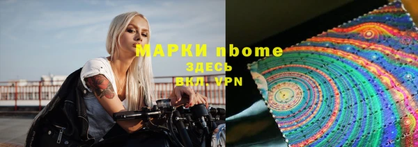 прущие грибы Заводоуковск